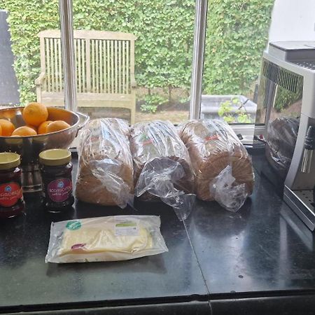 Apartament Amsterdam Mansion - Rembrandt Oostzaan Zewnętrze zdjęcie